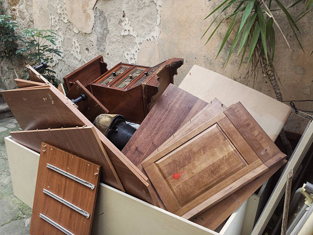 Best Construction Debris Removal  in Pamplico, SC